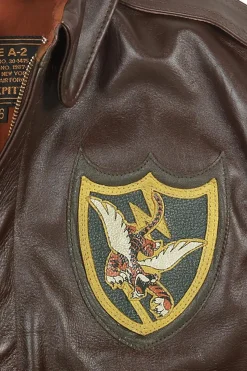 Blouson Homme Cockpit Usa Z21V60 Brown