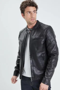 Blouson Homme Daytona Stirling Lamb Paolo Black