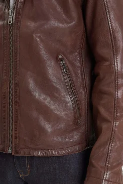Blouson Homme Daytona Winston Hood Lamb Vita Bison