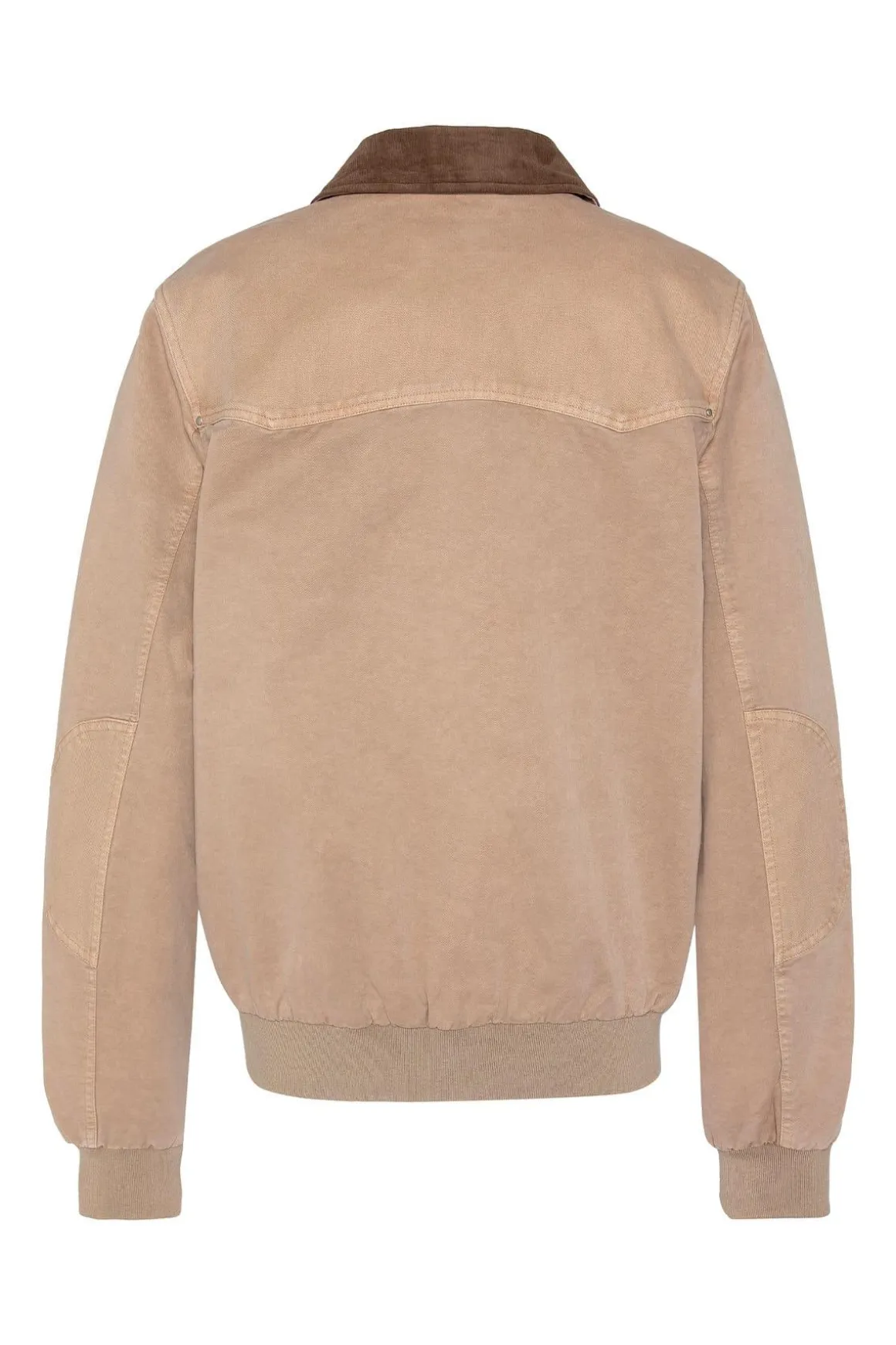 Blouson Homme Schott Chalk Taupe