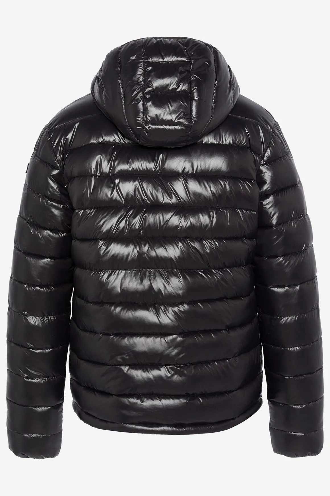 Blouson Homme Schott Drago Black