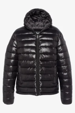 Blouson Homme Schott Drago Black