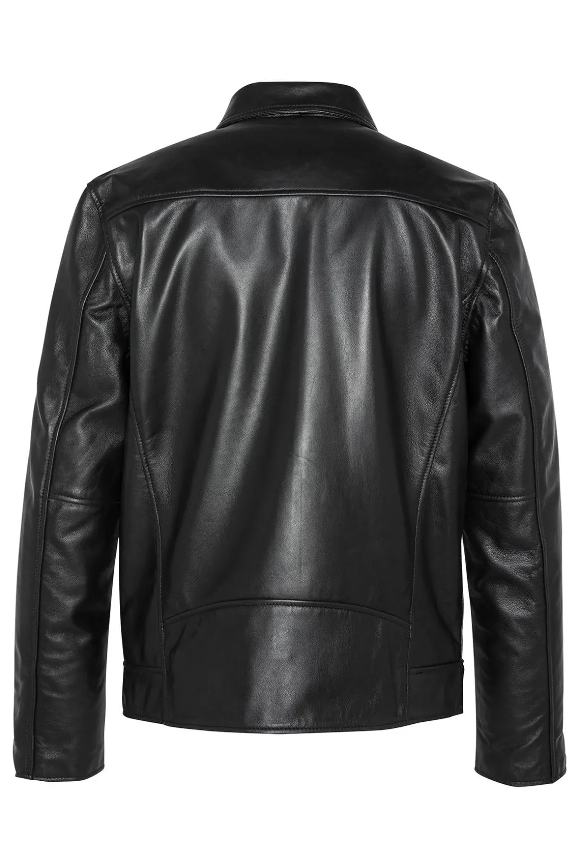 Blouson Homme Schott Lctampa Black
